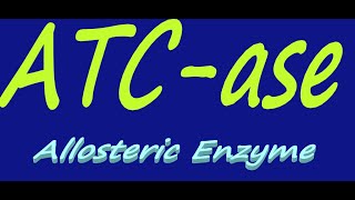 ATCase  Aspartate Trans Carbamoylase  Allosteric Enzyme  By Dorka Beri [upl. by Alecram]