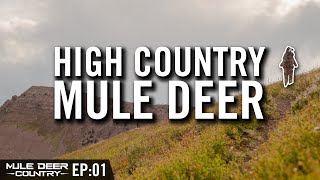 Big High Country Mule Deer Archery Hunt [upl. by Winona]