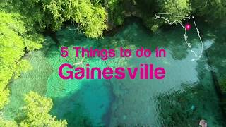 Florida Travel 5 Things to Do in Gainesville [upl. by Veats]