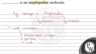 is an amphipathic molecule \ \mathrmW \ [upl. by Watts]