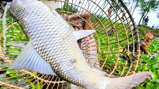 Unbelievable The Best Amazing Festival Polo Fishing In Bangladesh  Saima Fishing [upl. by Akahc]