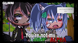 You’re Not My Alpha •GLMM• Gacha Life Mini Movie Love Story Not original• • Boba Milk Fan• [upl. by Ayik518]