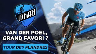 Tour des Flandres  Van der Poel grand favori  Cyclisme [upl. by Afnin]