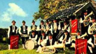 riestelander muzikanten margraten festwies polka [upl. by Trimmer]