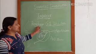 Physiology of synaptic inhibition [upl. by Yecaj]