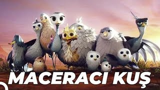 Maceracı Kuş Yellowbird Animasyon Filmi  Full Film İzle [upl. by Nahgen]