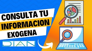 Cómo Consultar Información Exógena en la DIAN  Tutorial Paso a Paso [upl. by Atiuqihc]