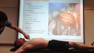 Pectoralis Major Palpation Manual Therapy and Stretch [upl. by Ciardap]