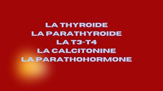 Endocrinologie La thyroïde la parathyroïde la T3T4calcitonine et PTH [upl. by Vedette]