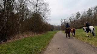 Von Reutlingen nach Tübingen mit dem Fahrrad über Ohmenhausen Immenhausen und Ehrenbachtal [upl. by Ttirb769]