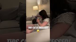 Jujubee is obsessed 🤣family catvideos nature viralvideo love viralshorts vlog funny [upl. by Adnahsor]