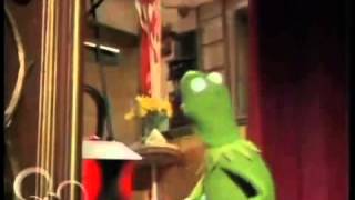 Kermit the Frog Freaks Out [upl. by Joli125]