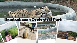 Nandankanan zoological parkKhandagiri UdayagiriPuri best places to visitSumana Sunrise Lifestyle [upl. by Ninetta]