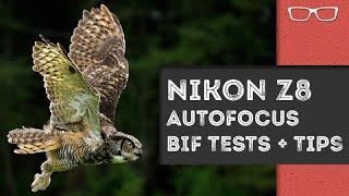 How did the Nikon z8 Autofocus perform with Birds in Flight [upl. by Kappenne]