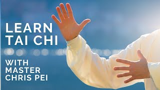 Tai Chi for Beginners  Best Instructional Video for Learning Tai Chi [upl. by Deck192]