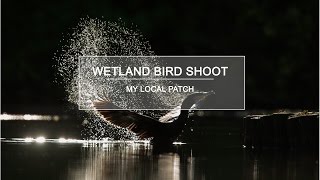 Nature Photography  Wetland Bird Shoot  My Local Patch [upl. by Elocal]