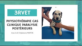 Physiothérapie cas clinique paralysie postérieur [upl. by Nahtiek]