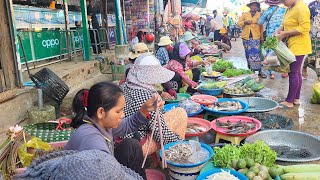 Market Activity  People Buy Food For Cooking at Siem Reap Market  Amazing Countryside Street Food [upl. by Demy]