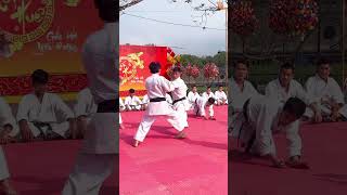 Những đòn đánh tinh hoa karate 🥋 defence vothuat martialarts karate kungfu loitrankarate [upl. by Drawe]