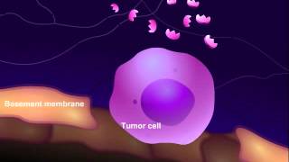 Introduction to Cancer Biology Part 3 Tissue Invasion and Metastasis [upl. by Meikah]