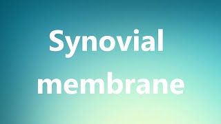 Synovial membrane  Medical Definition and Pronunciation [upl. by Aihcsrop]