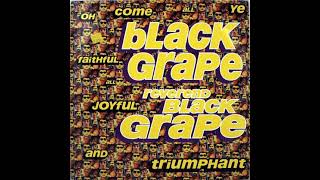 Black Grape  Reverend Black Grape [upl. by Yarised]