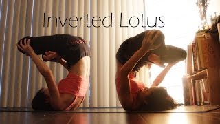 PloughPlow Shoulder Stand Inverted Lotus  Yoga Journey [upl. by Ennelram]