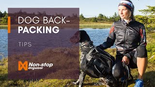 Dog backpacking tips with Karoline Conradi Øksnevad [upl. by Klotz]