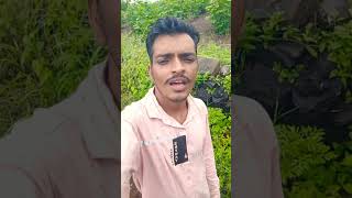 Rahul bhuriyatrending timli song💃🌹🌹💃 vk bhuriya timli 🌹jodi tuti re jaheshorts [upl. by Mw21]