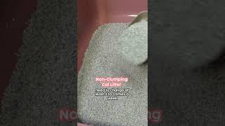 Clumping vs NonClumping Cat Litter 😸⁠😸 ⁠ ⁠ [upl. by Saul]