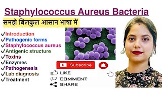 Staphylococcus Aureus Bacteria in Hindi  Lab Diagnosis  Pathogenesis  MLT  Nursing  Pharmacy [upl. by Illek]