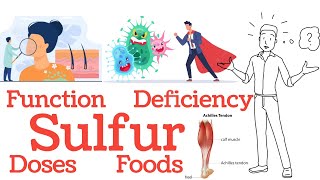 What is Sulfur  Sulfur Function Dietary Sources Causes Symptoms  In Hindi [upl. by Ethelyn]