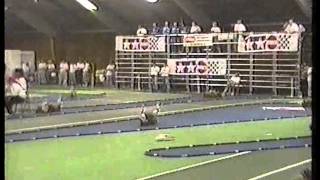 Tamiya EuroCup 1995 [upl. by Niraa]