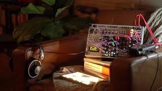 Chaos Generator  Rule 30 Sequencer on Teletype amp Grid  Morphagene  Mimeophon [upl. by Naesal277]