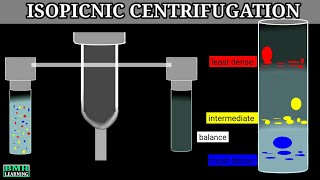 Isopicnic Centrifugation  Cscl density gradient centrifugation [upl. by Anaidiriv]