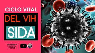 Ciclo vital del VIH  COMO SE MULTIPLICA EL VIH  Tipos de Fármacos Antirretrovirales [upl. by Callie]