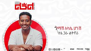 Leul Sisay  የኔ አመል Yene Amel Track 02 Official Audio [upl. by Znieh298]