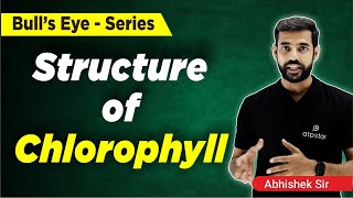 Structure Of Chlorophyll Molecule  Photosynthesis in Higher Plants Class 11  ATP STAR KOTA [upl. by Eilyak304]