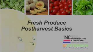 Postharvest Basics for Produce [upl. by Marti615]