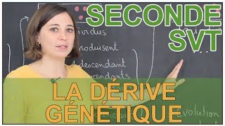 La dérive génétique  SVT Seconde  Les Bons Profs [upl. by Enram]