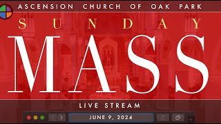 Sunday Mass Live Stream  June 9 2024 [upl. by Simmonds]