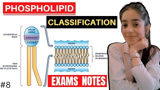 phospholipids biochemistry  glycerophospholipid and sphingomyelin biochemistry [upl. by Merwin]