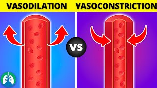 Vasoconstriction vs Vasodilation EXPLAINED [upl. by Sears]