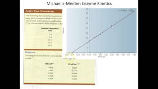 Lecture 5B  More MichaelisMenten Enzyme Kinetics [upl. by Marthena]