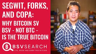 SegWit Forks and COPA Why Bitcoin SV BSV not BTC is the true Bitcoin [upl. by Paolo444]