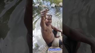 Netfishing me snake 🐍 kolkata snake swarnjeetvickyvlog shorts [upl. by Nairdad]