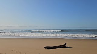 Ezemvelo Umlalazi Nature Reserve Beach [upl. by Haronid]