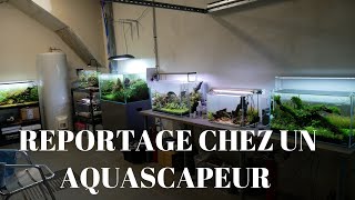 REPORTAGE CHEZ UN PASSIONNE AQUARIOPHILIE AQUA KEV [upl. by Leshia]