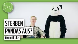 Sind Pandas vom Aussterben bedroht Öko mit Uke  planet  panda [upl. by Benisch]