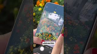 Protege aún más tu iPhone frente a robos 🏴‍☠️ apple iphone trucosiphone [upl. by Nangem943]